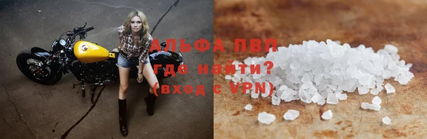 стаф Липки