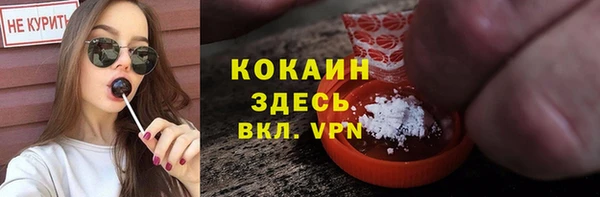 стаф Липки
