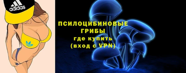 гашик Лихославль