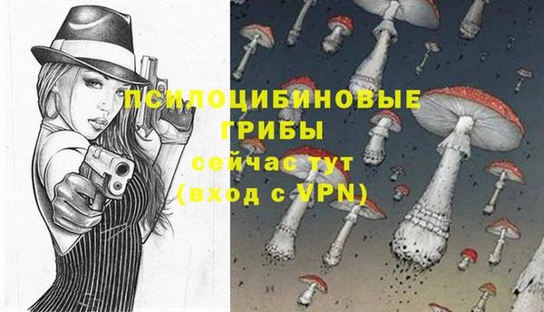 гашик Лихославль