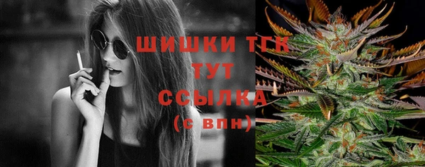 стаф Липки
